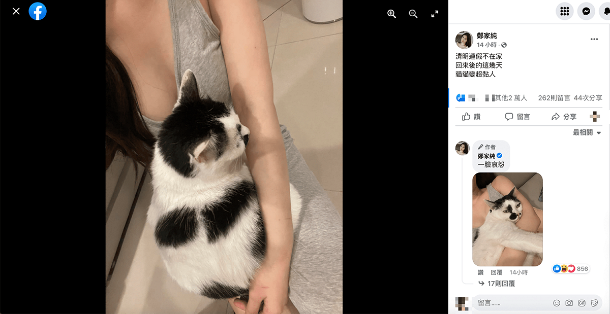 鄭家純曬貓，網全歪樓「讓我來！」。 圖：翻攝自鄭家純FB(@鄭家純)