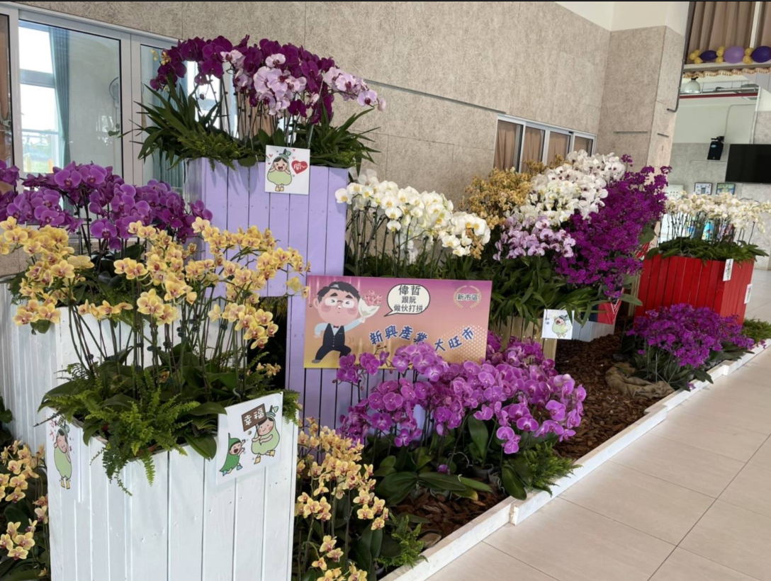 新市區三里活動中心蘭展佈置。 圖：台南市政府 / 提供