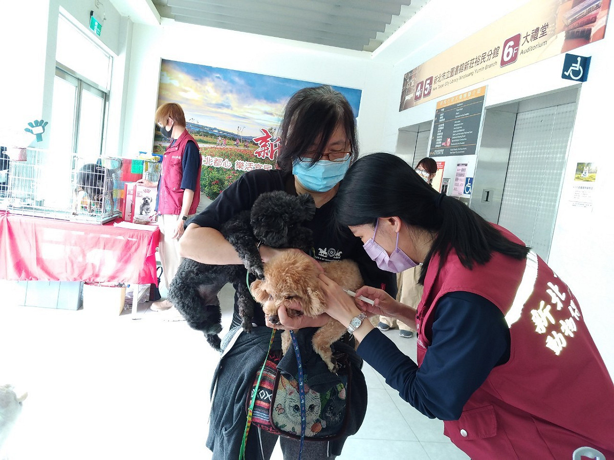 前20名完成狂犬病疫苗注射犬貓，加碼贈送限量寵物專屬舒壓小玩具。 圖：新北市動保處提供