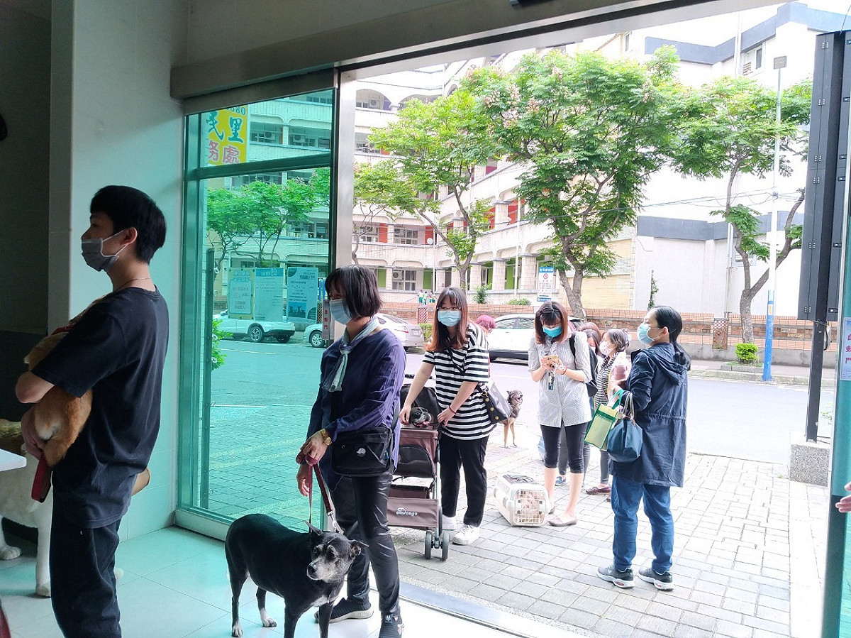 每年需帶家中寵物施打狂犬病疫苗，每年再施打一劑狂犬病疫苗，是最好的防護。 圖：新北市動保處提供