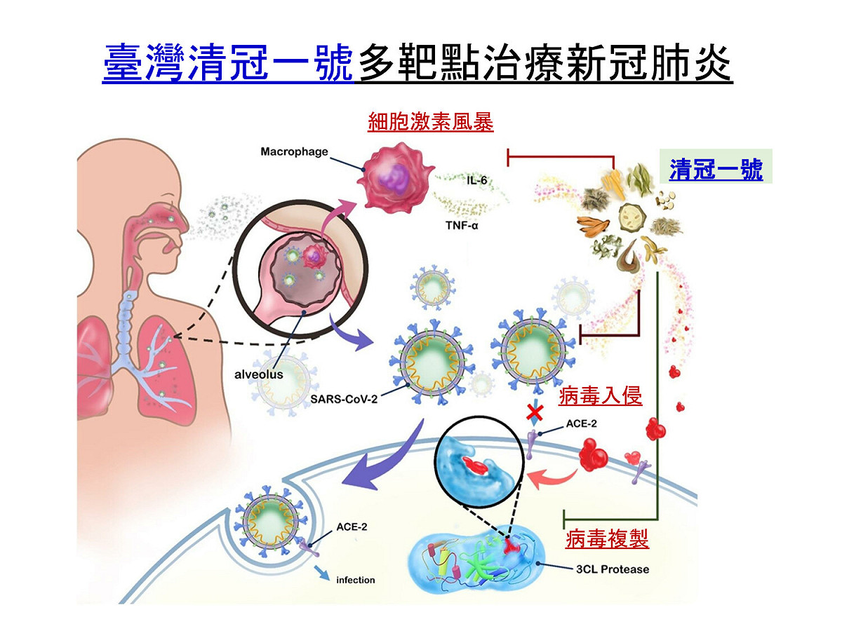 台灣清冠1號效能說明 圖：中央流行疫情指揮中心/提供