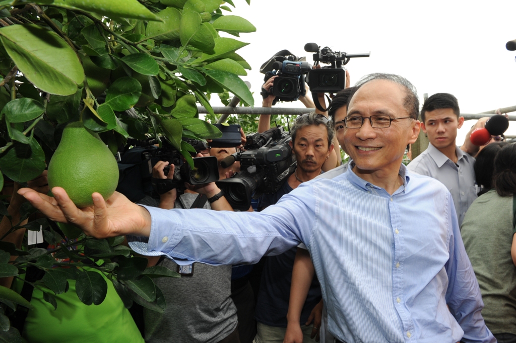關心年初寒害所造成的農業損失，甫上任的行政院長林全22日前往台南市麻豆區文旦柚果園訪視。 圖：行政院提供