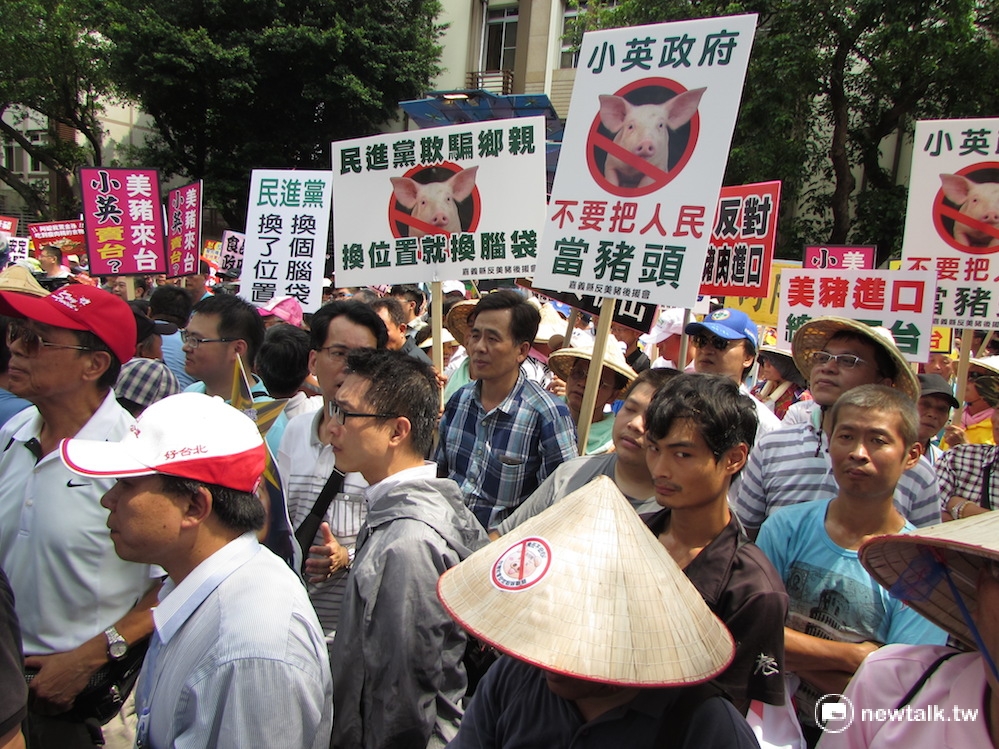 行政院長林全31日首次赴立法院接受質詢，國民黨有備而來，動員上百位豬農與反對者抗議。 圖：邱珮文/攝