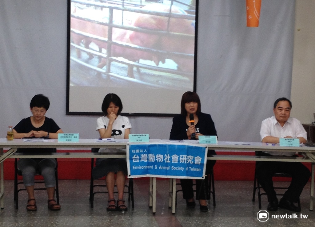 民進黨籍不分區立委蔡培慧31日呼籲，台灣應立即終結活體豬隻拍賣制度。 圖：周富美/攝