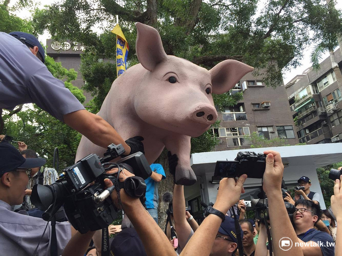 國民黨藉「瘦肉精美豬」議題，緊打民進黨政府。 圖：新頭殼資料照片，鄭佑漢/攝。