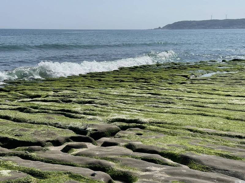 老梅綠石槽是每年春季登場的北海岸特殊景觀。 圖：北海岸及觀音山國家風景區管理處／提供