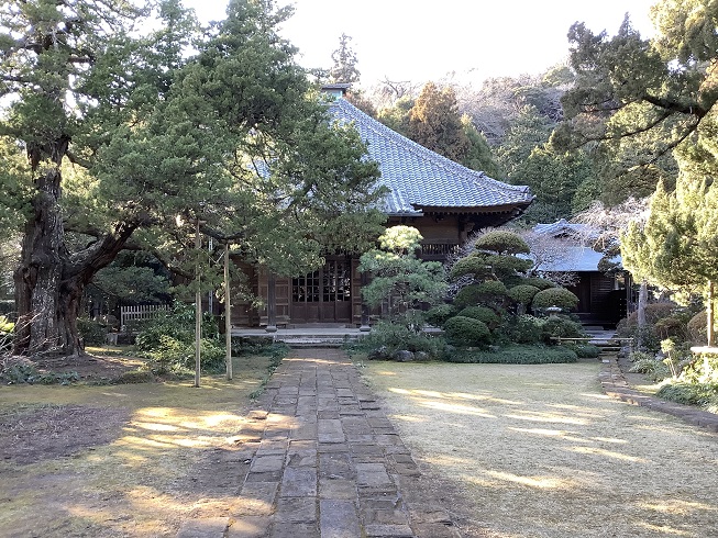 鎌倉五山之一的夀福寺是北條政子請了名僧榮西來建的名寺，榮西是讓日本人有喝茶習慣的始祖性人物 圖：劉黎兒/攝
