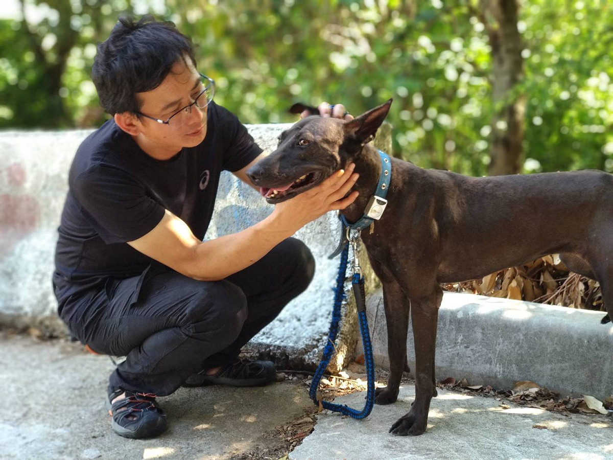 五股動物之家志工與黑犬近距離互動，從眼神與肢體接觸中讓毛寶貝感受到人的溫暖。 圖：新北市動保處提供