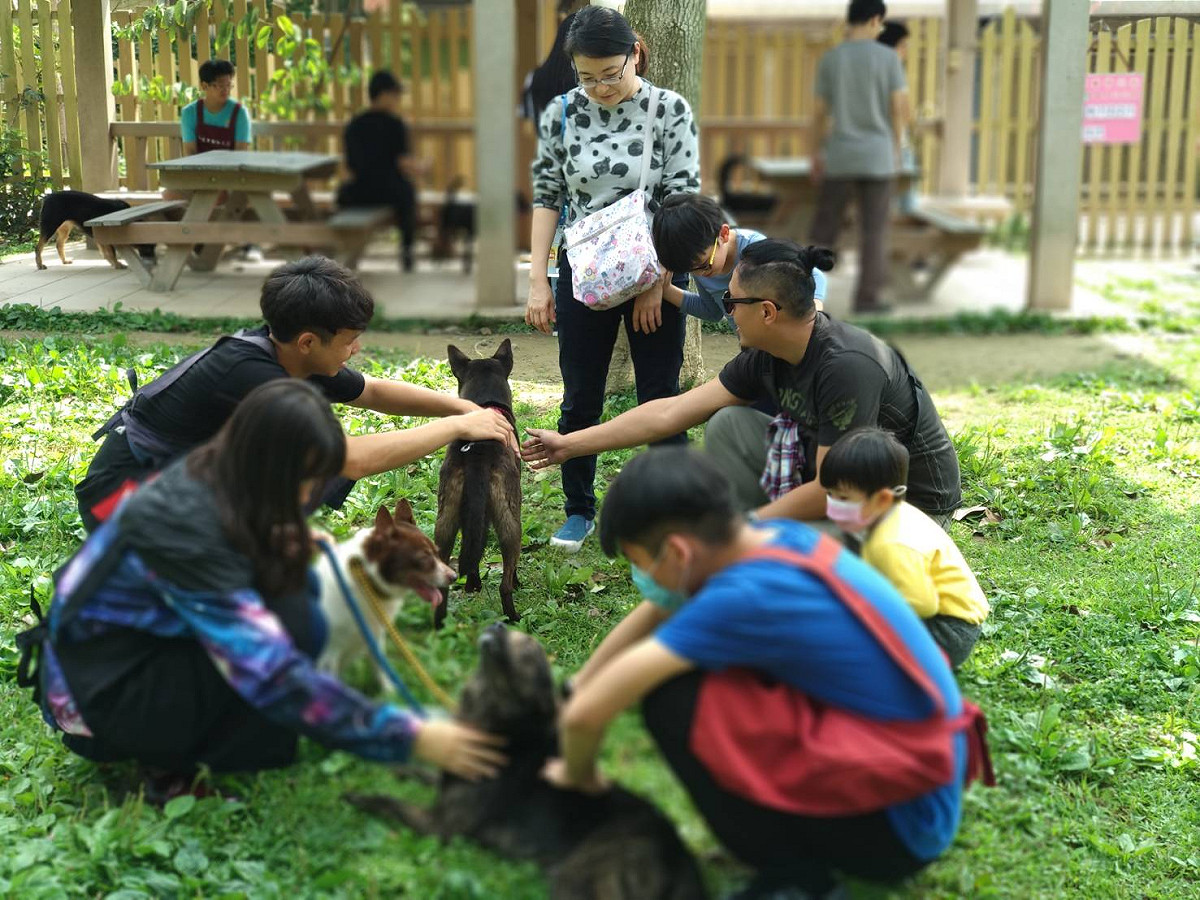 中和動物之家志工帶領參訪民眾如何與毛寶貝接觸，跟小朋友進行生命教育。 圖：新北市動保處提供