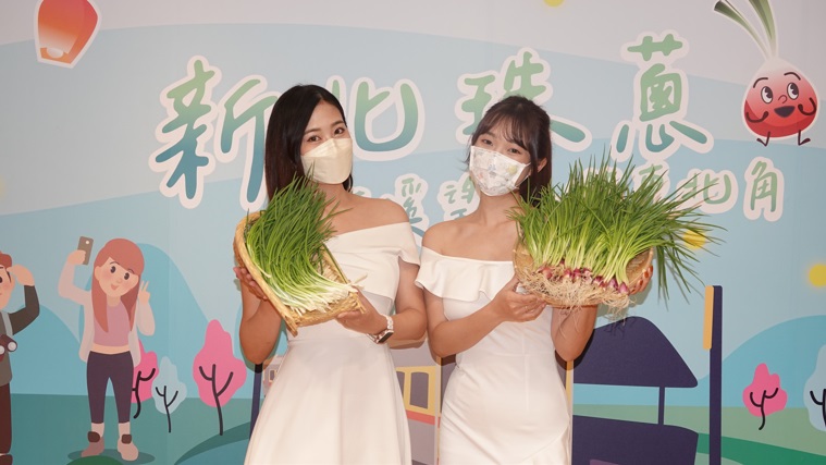 新北珠蔥新鮮上市。