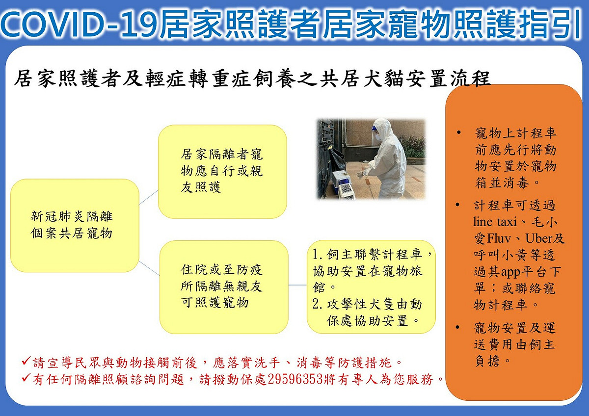 COVID-19居家照護者及輕症轉重症飼養之共居犬貓安置流程。 圖：新北市動保處提供