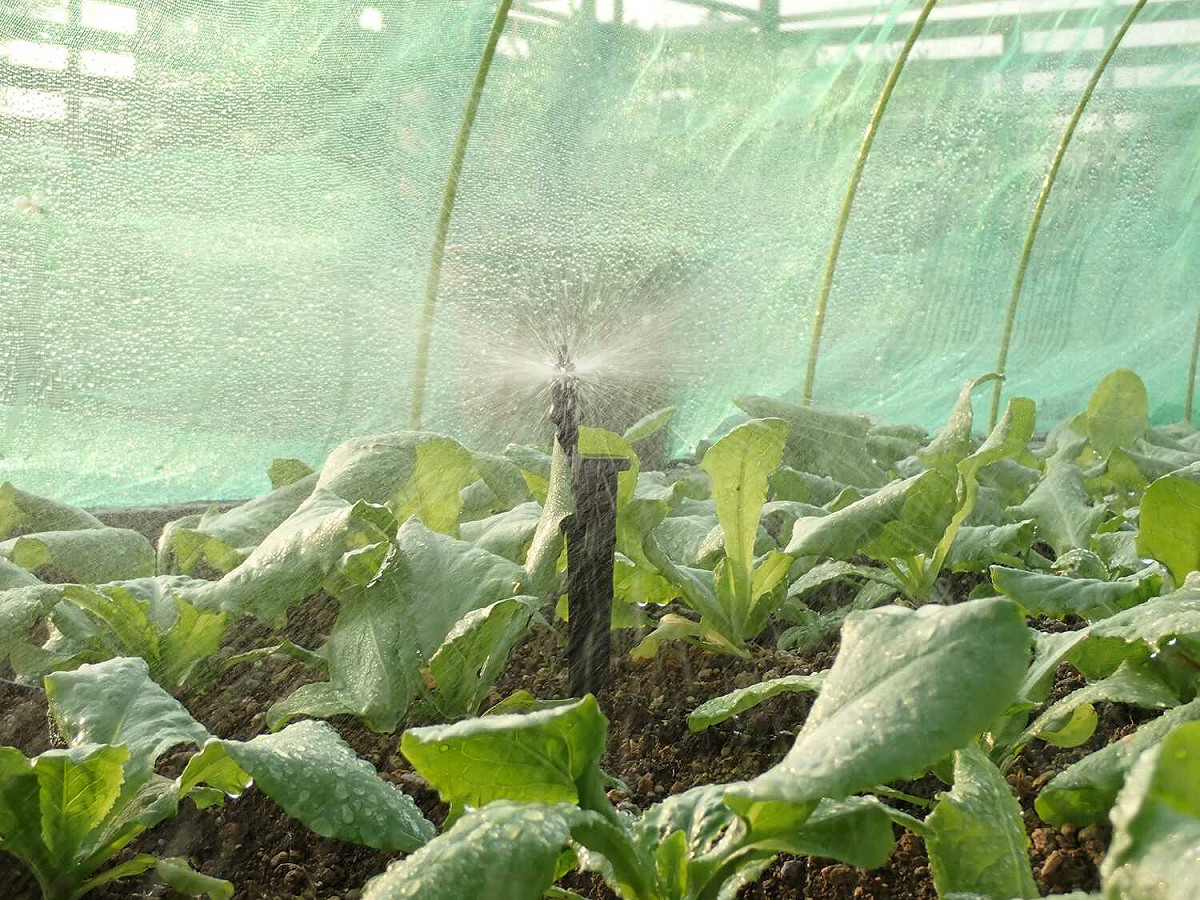 鶯歌國中用微噴噴頭精準控制澆灌水量。 圖：新北市教育局提供