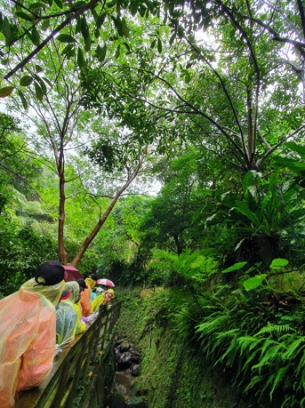 新北響應世界地球日 以行動守護家山