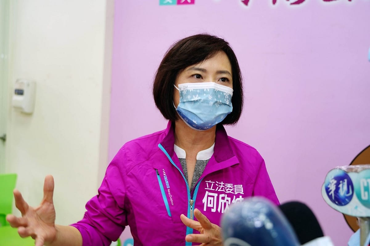民進黨立委何欣純。 圖：何欣純辦公室/提供（資料照）