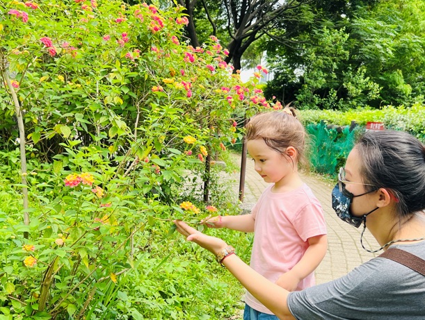 塭仔底濕地公園是城市裡最富裕的生態後花園。 圖：新北市水利局提供