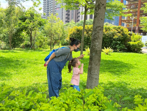 瞧你看見大樹裡有甚麼呢。 圖：新北市水利局提供