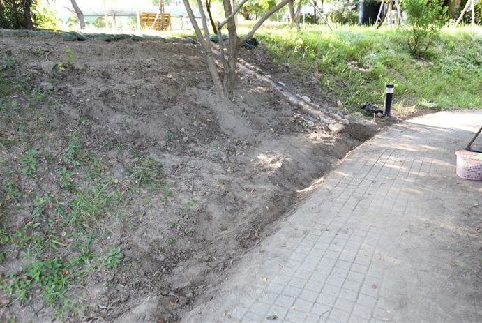 去年10月塭子底濕地公園滯洪池邊坡裸化情形。 圖：新北市水利局提供
