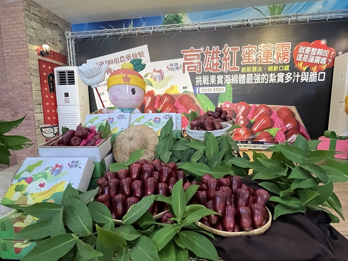 「高雄紅蜜蓮霧」今年首度在台上市。 圖:高雄市農業局/提供