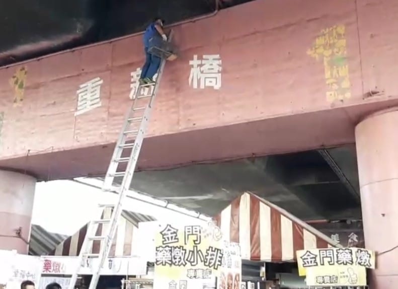 動保員至6公尺高的橋墩救援浪貓。 圖：新北市動保處提供