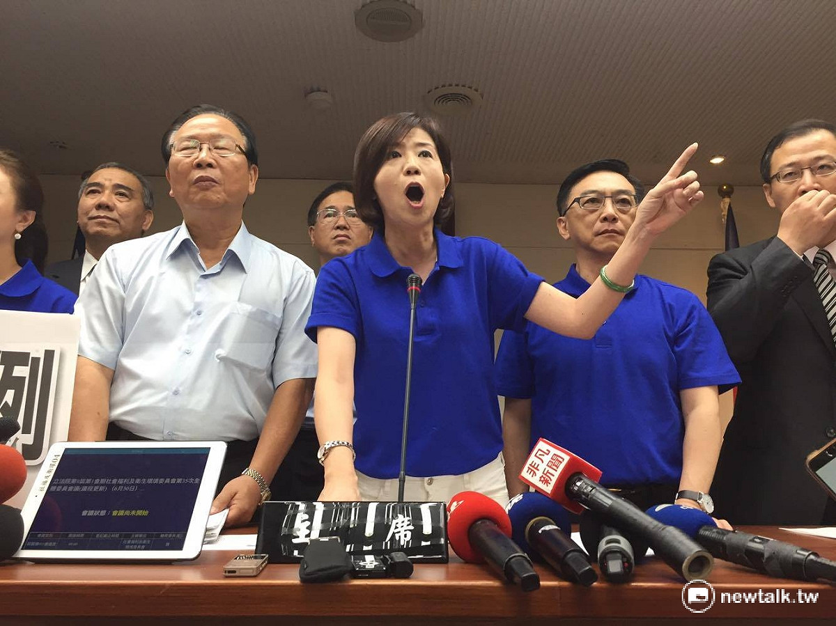 國民黨團書記長林德福（左起）與衛環輪值召委王育敏，30日率國民黨立委在立法院衛環委員會抗議。  圖：鄭佑漢/攝