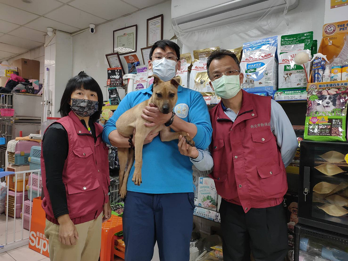天麗寵物坊老闆廖大輝（中）發揮愛心協助流浪犬，免費提供剪指甲服務。 圖：新北市動保處提供