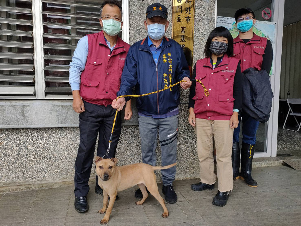 富基里長林茂森認養嘟嘟，讓牠開心地生活在富基里活動中心。 圖：新北市動保處提供