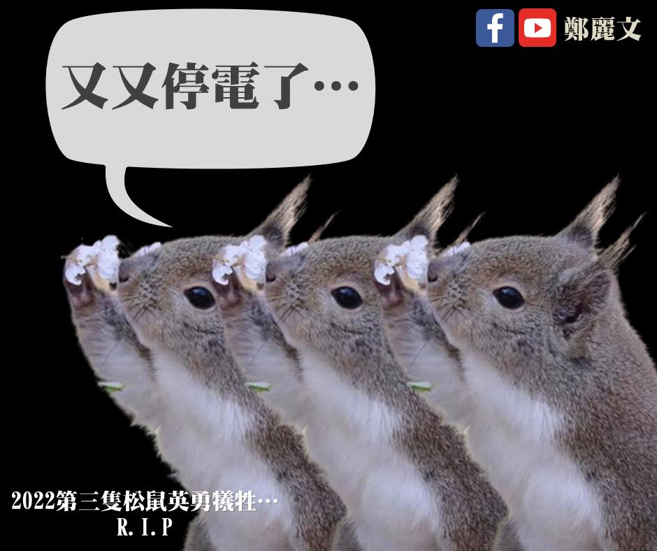鄭麗文表示蔡政府治理下的台灣充滿亂象，但唯一沒有改變的是蔡政府從來不會認錯，只會不吭聲以為可以讓人民漸漸忘記。 圖：截自鄭麗文臉書