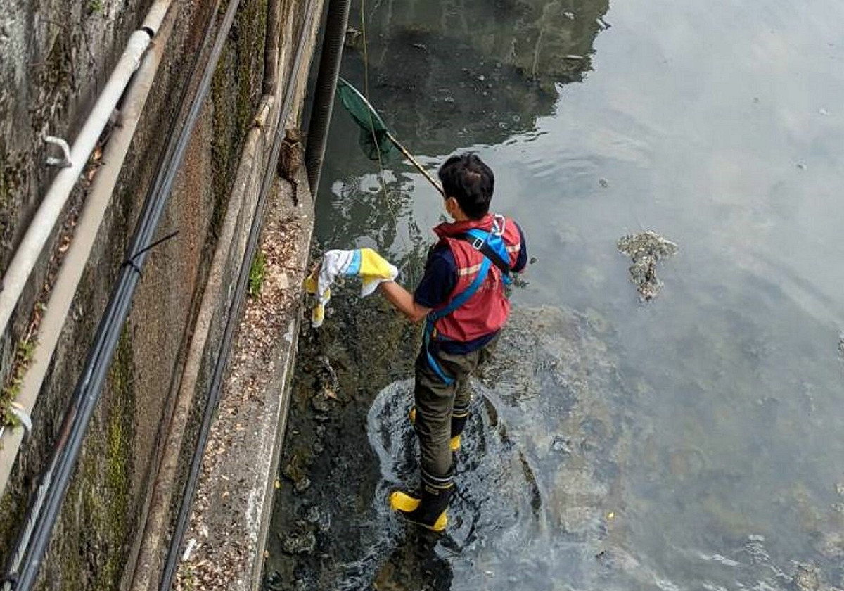 動保員涉水並小心翼翼地以網具將幼貓救出。 圖：新北市動保處提供