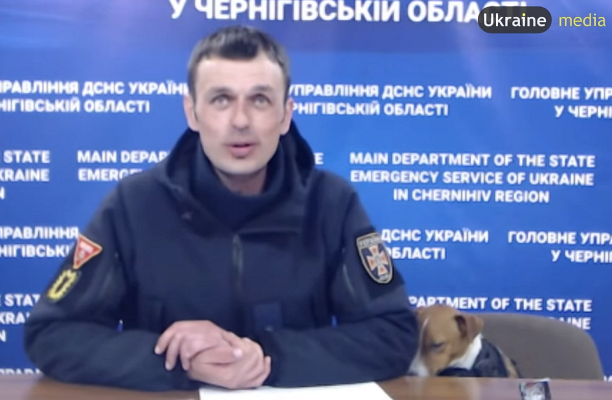 子彈在專訪中呼呼大睡，還靠在領犬員的手肘繼續睡。 翻攝自YouTube／Ukraine Media