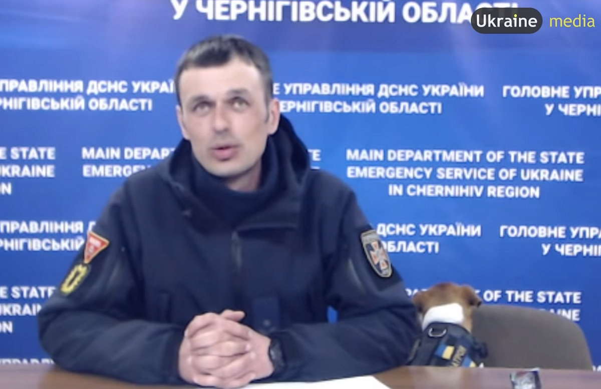隨後子彈乾脆直接背對鏡頭，靠在椅子上睡覺。 翻攝自YouTube／Ukraine Media