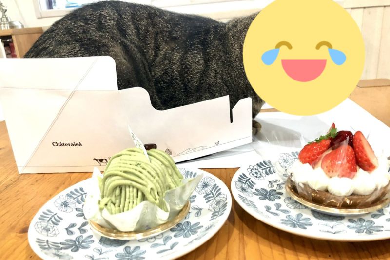 日本一名推主買蛋糕回家，準備享用時卻發現多了一條「虎皮蛋糕」！ 圖／推特帳號