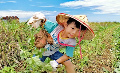 經發局青春山海線伴手禮首創「買禮盒、送遊程」方案，帶領民眾暢遊北海岸風光。 圖：新北市經發局提供