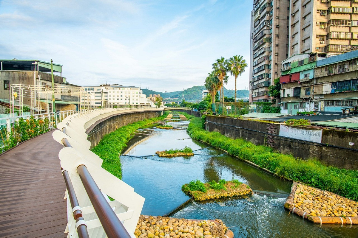 大窠坑溪回復河川生命力豐富生態資源。 圖：新北市水利局提供