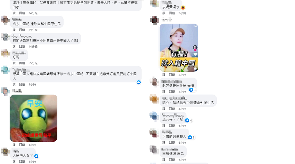 台灣網友紛紛到田麗臉書留言狠酸。 圖：翻攝自臉書/田小麗的台東生活