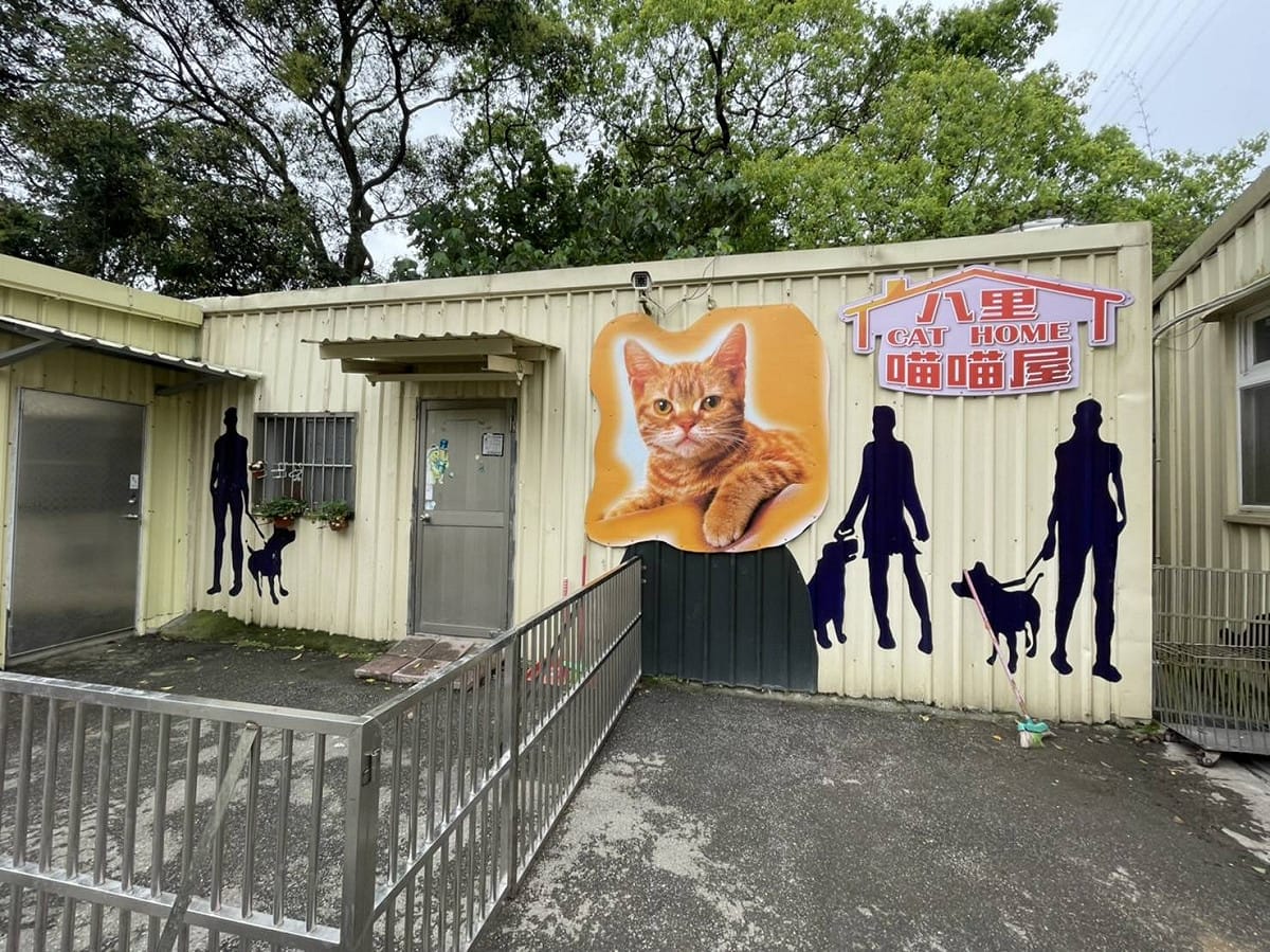 八里動物之家的「喵喵屋」，是貓的友善生活環境。 圖：新北市動保處提供