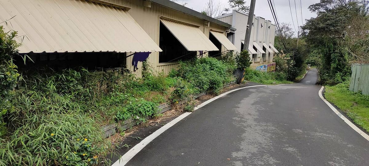 八里動物之家犬舍綠美化施工前雜草叢生環境髒亂。 圖：新北市動保處提供