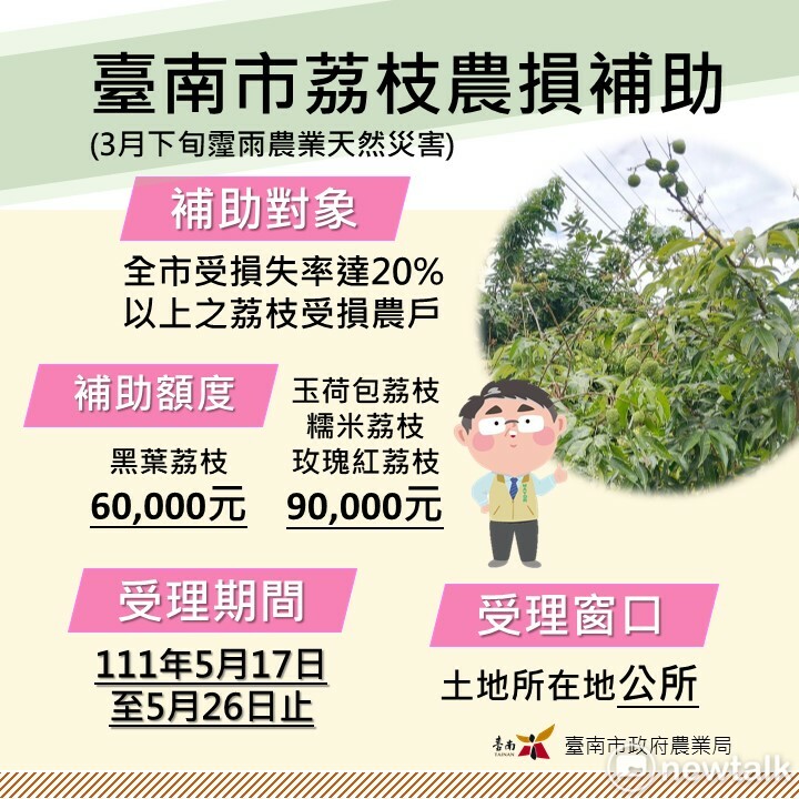 黑葉荔枝災損每公頃救助6萬元；玉荷包荔枝、糯米荔枝、玫瑰紅荔枝等新品種荔枝災損每公頃救助9萬元，符合資格的農民請於5月17日至5月26日止，向土地所在地公所提出申請。 圖：台南市政府提供