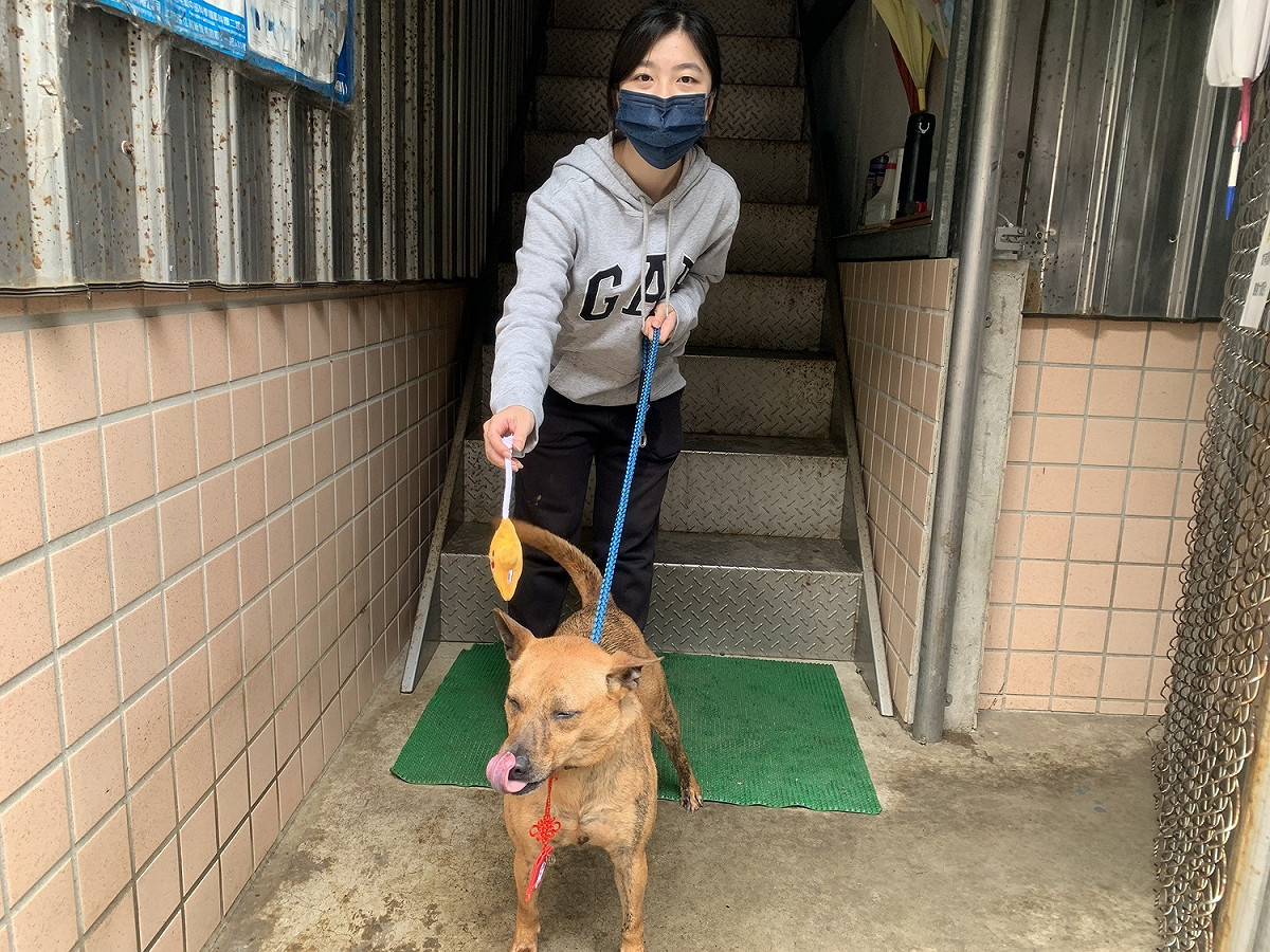 民眾帶著愛犬施打完疫苗後開心離開動保處。 圖：新北市動保處提供