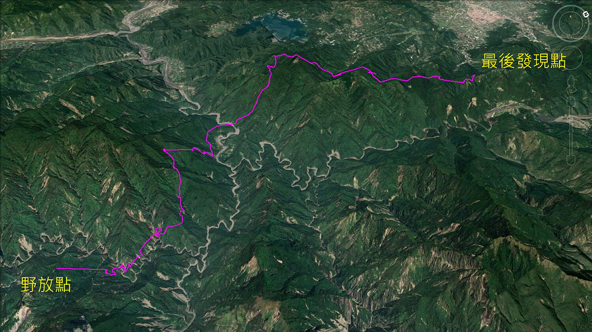 東卯山黑熊二度野放地點於丹大山區，牠疑似因「返家行為」移路北上至武界地區，最終遇害身亡。 圖：農委會林務局／提供