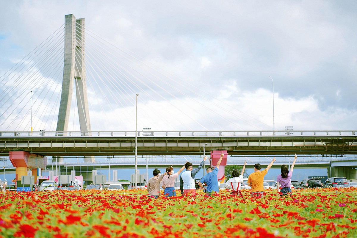 陪你去看百日草花海在幸福水漾公園。