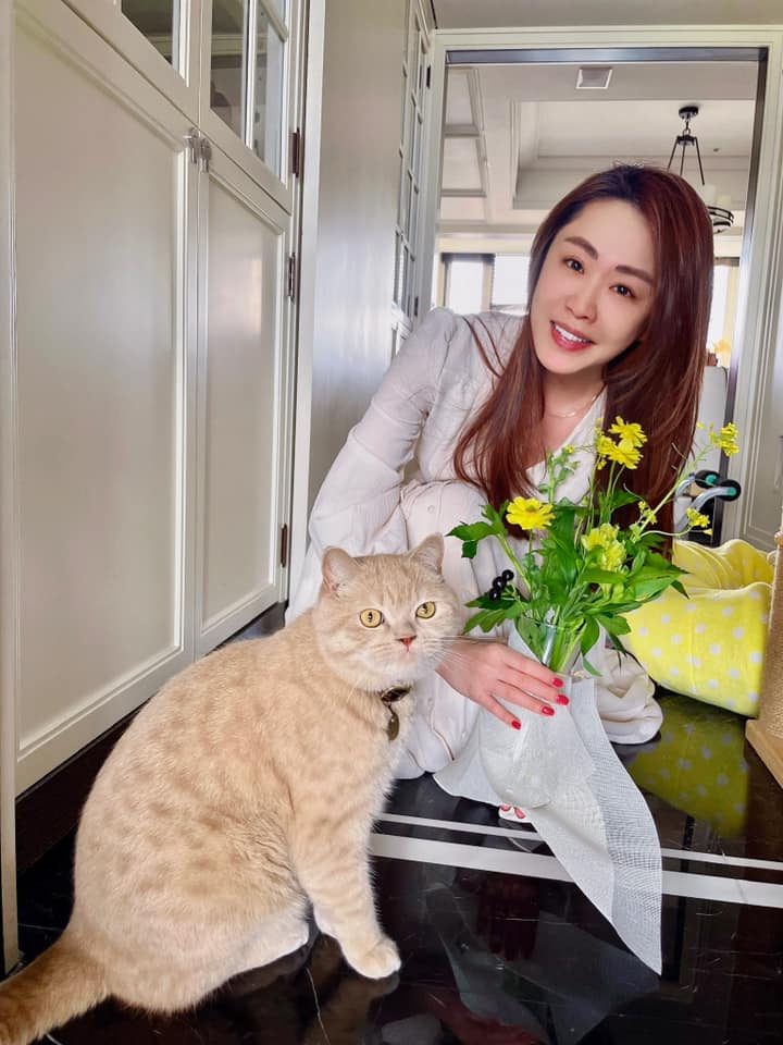 李婉鈺的「兒子」其實是飼養的貓咪。 圖：擷自李婉鈺臉書
