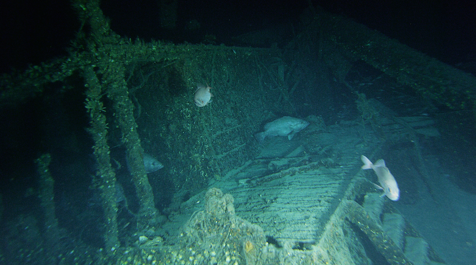 美國東海岸唯一的二戰海軍戰場的物理遺跡，80年前遭擊沉的美軍徵用貨輪「SS Bluefields」。 圖：翻攝Global Foundation For Ocean Exploration官網