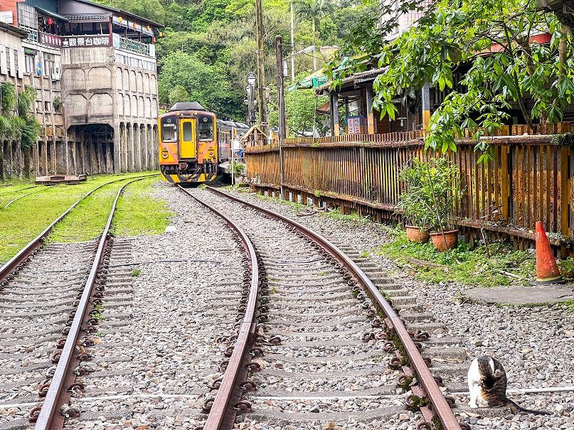 菁桐洗選煤場遺址及火車駛過的景色充滿濃濃懷舊感。