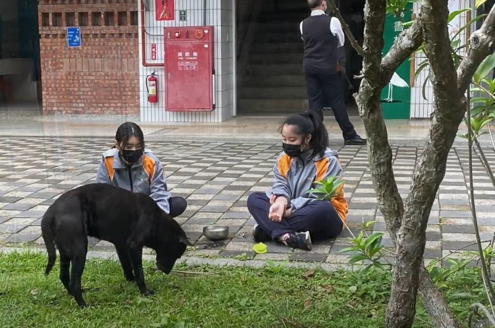 小黑在校園裡與學生互動。 圖：新北市動保處提供