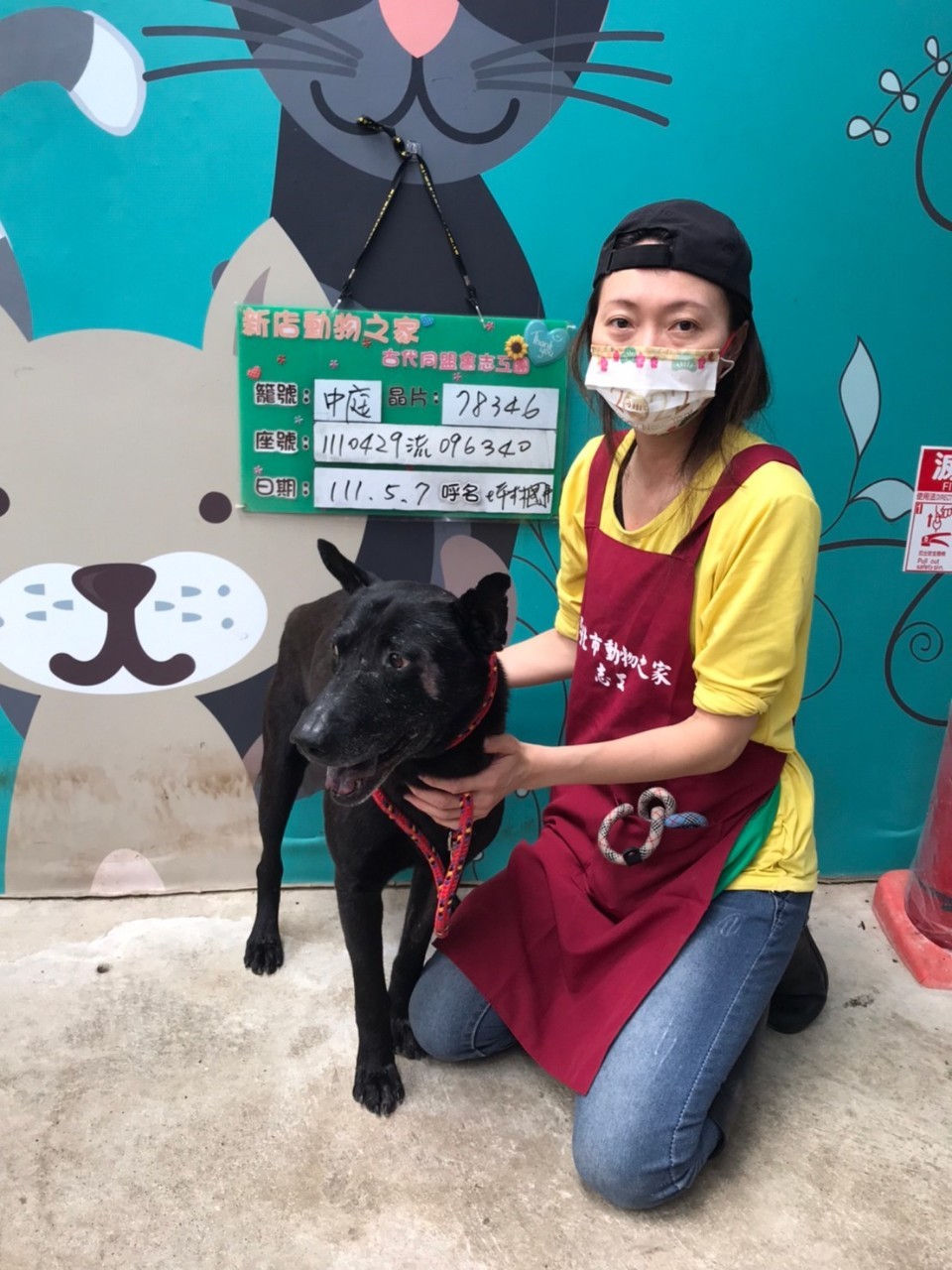 志工陪伴小黑照顧情形。 圖：新北市動保處提供