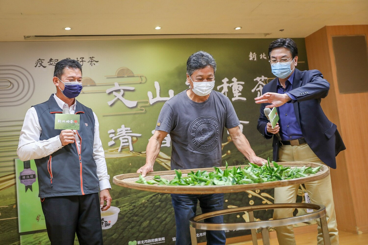 新北市副市長劉和然(右）、特等獎包種茶王李傳清（中）、坪林農會理事長陳文慶（左）共同體驗製茶。 圖：新北市農業局提供