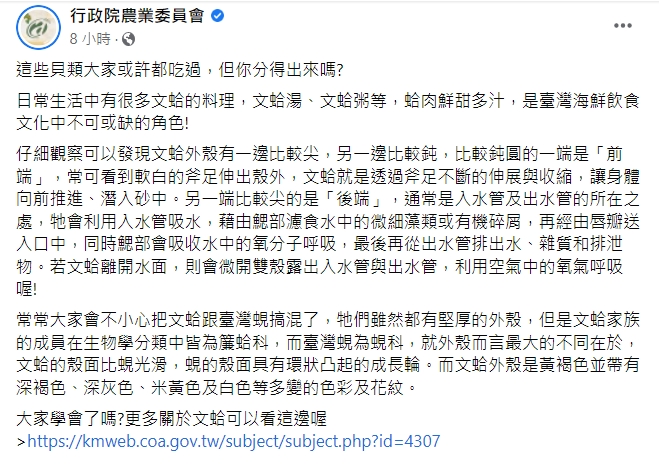 行政院農業委員會教民眾如何分辨文蛤與台灣蜆。 圖：擷取自農委會臉書