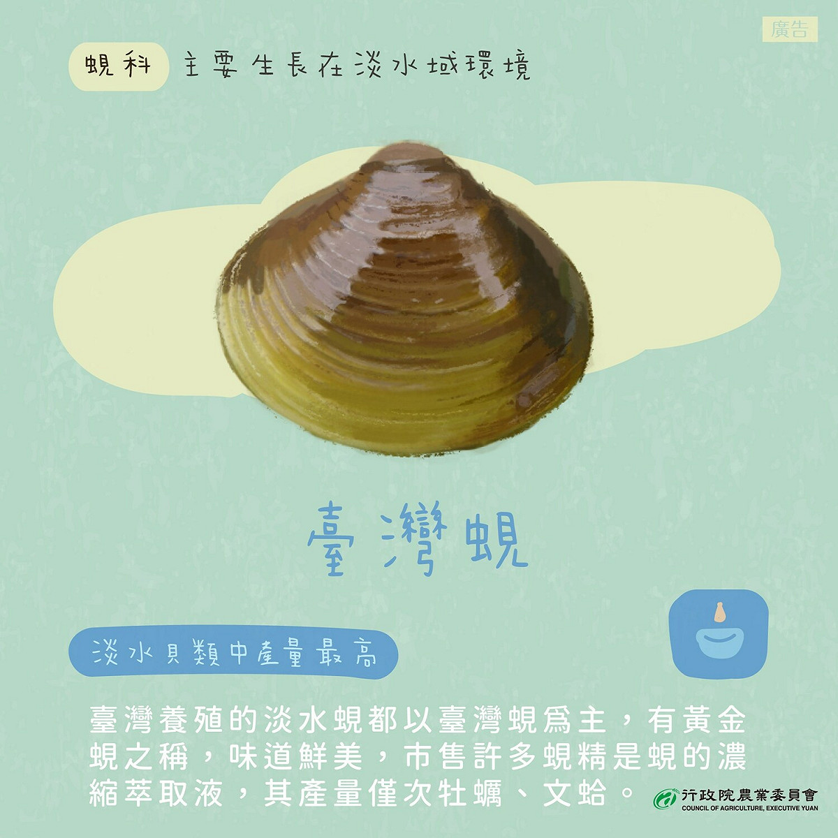 台灣蜆介紹。 圖：擷取自農委會臉書