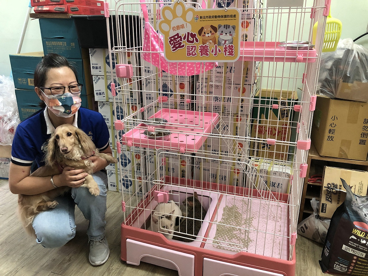 愛心認養小站提供貓籠及跳台給認養小貓愉快生活。  圖：新北市動保處提供