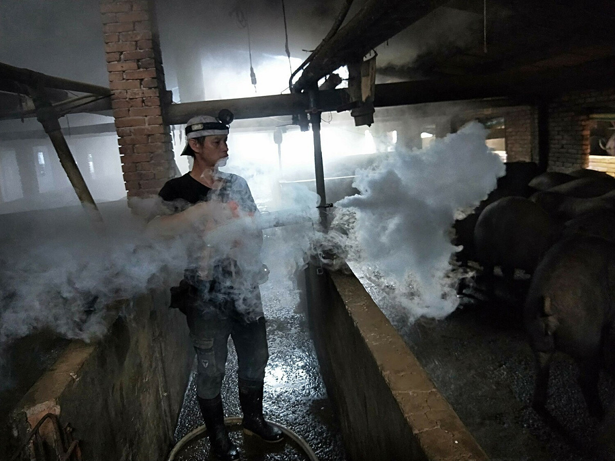 養豬場落實環境消毒。 圖：新北市動保處提供